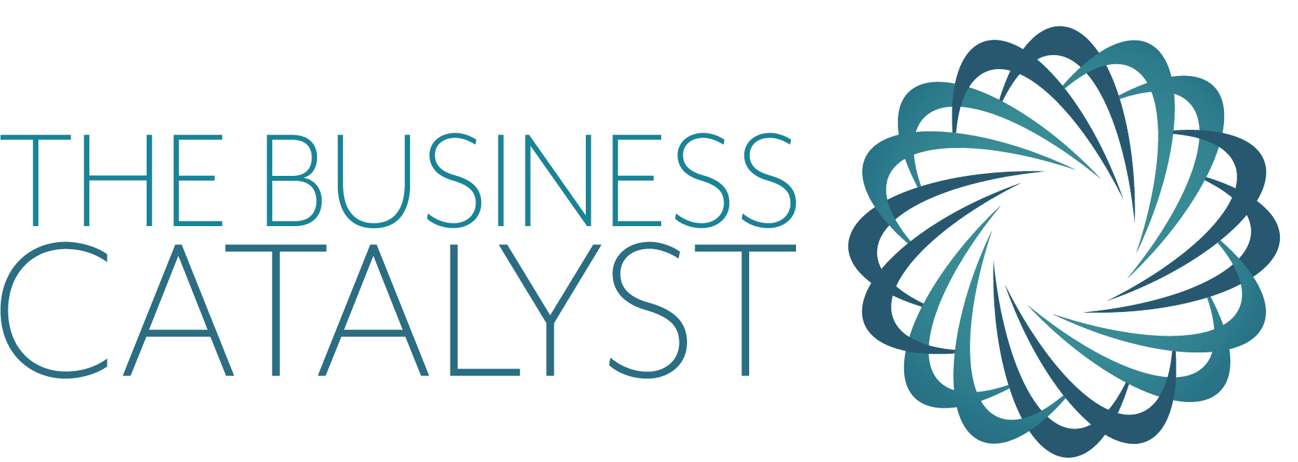 The Business Catalyst